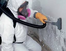 Best Forensic Mold Investigation  in Rio Grande City, TX